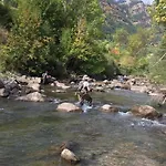 La
